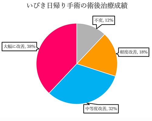 いびき日帰り手術の術後治療成績の円グラフ